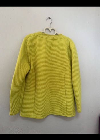 Fıstık yeşili  Kadın Hırka - Görsel 3