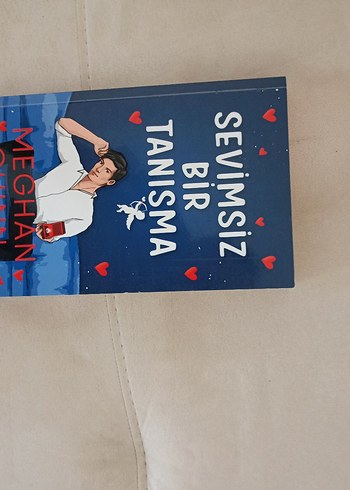 Sevimsiz Bir Tanışma Romanı