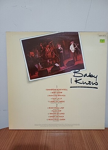 Diğer THE RUBETTES BABY I KNOW DÖNEM LP PLAK 