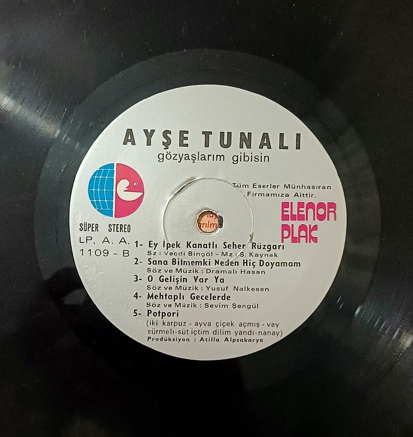 AYŞE TUNALI GÖZYAŞLARIM GİBİSİN DÖNEM LP PLAK - Görsel 5