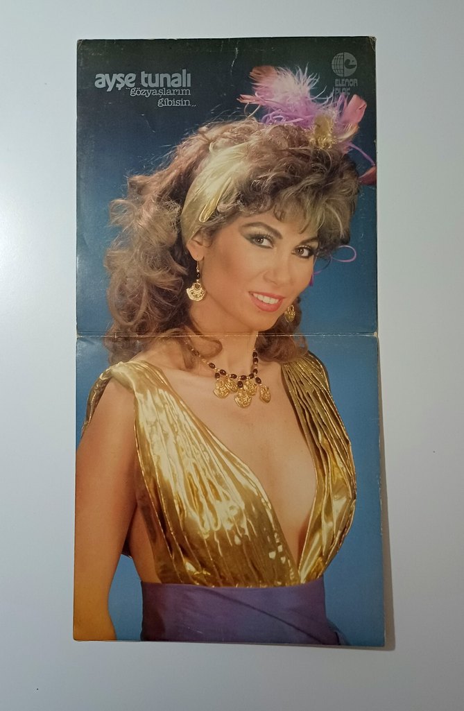 AYŞE TUNALI GÖZYAŞLARIM GİBİSİN DÖNEM LP PLAK - Görsel 3