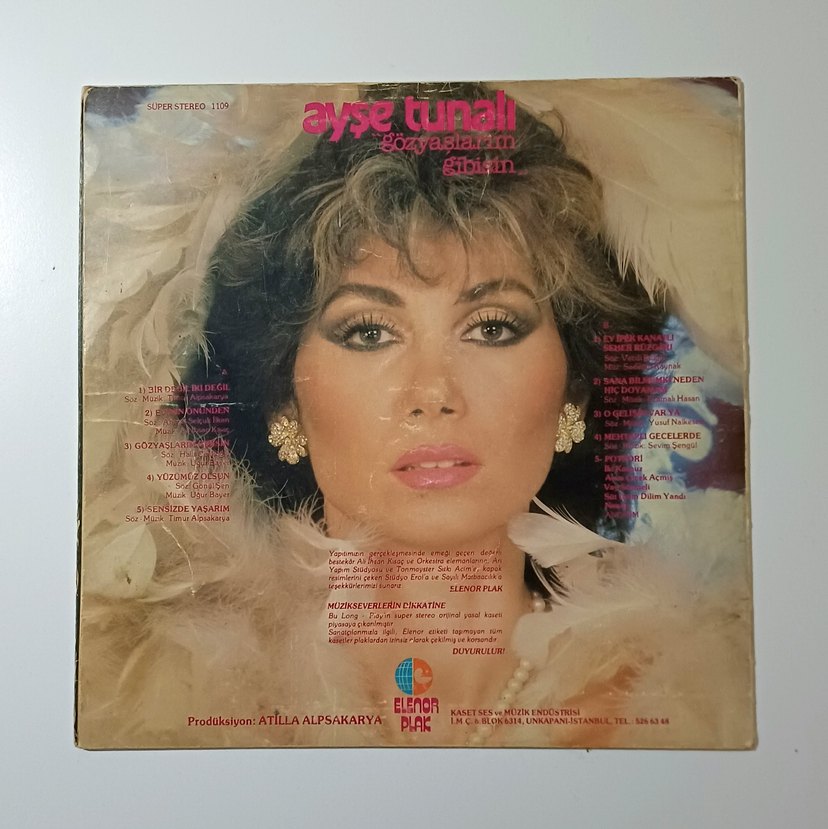 AYŞE TUNALI GÖZYAŞLARIM GİBİSİN DÖNEM LP PLAK - Görsel 2