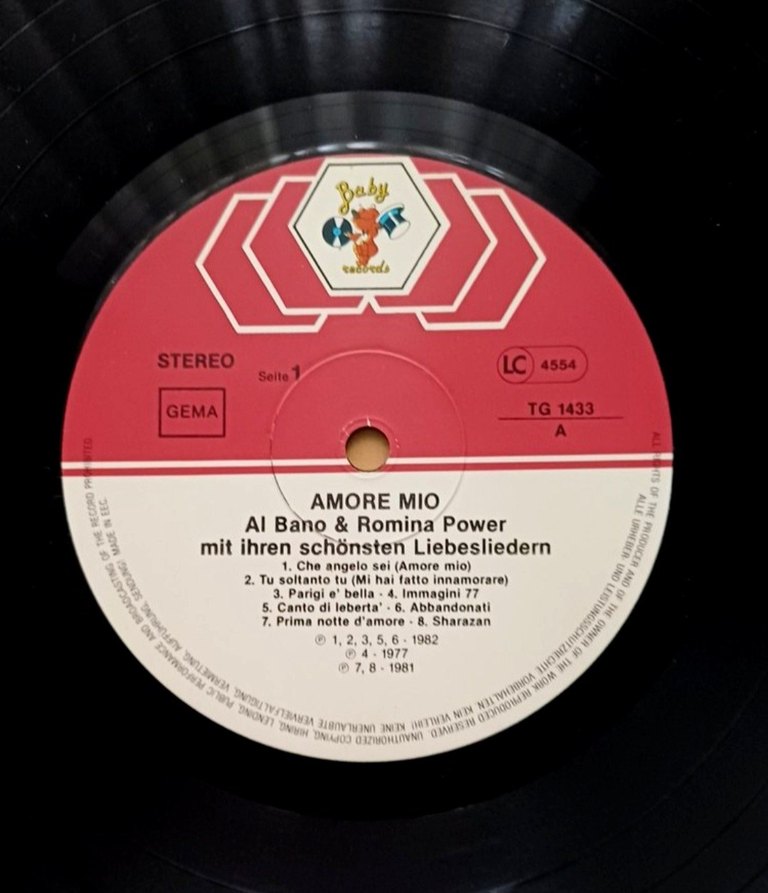 AL BANO & ROMİNA POWER AMORE MİO DÖNEM LP PLAK - Görsel 4