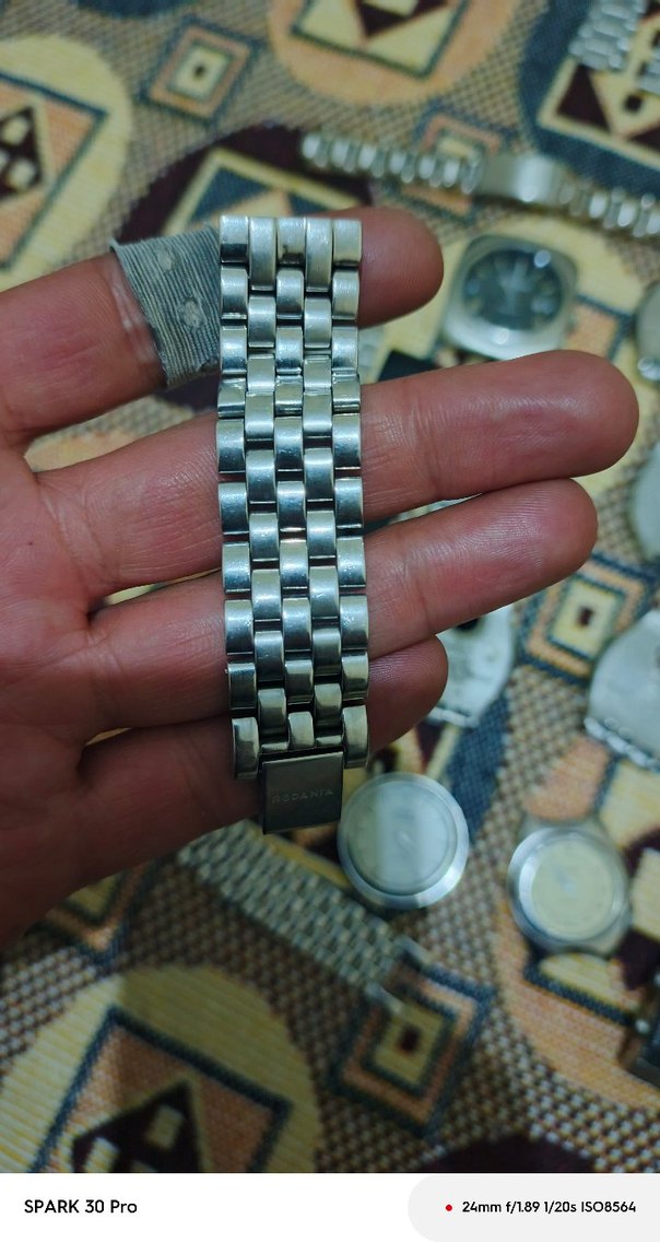 Gri Rodania Erkek Saat Kayışı - Görsel 2