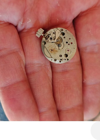 Bej Vintage Erkek Rozeti - Görsel 6