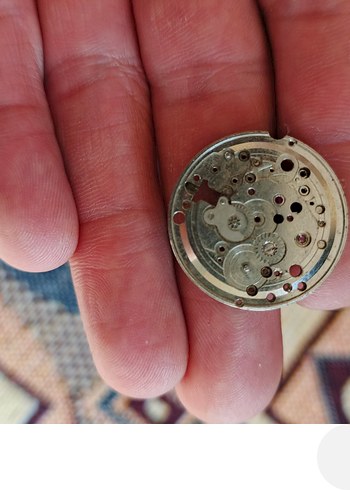 Bej Vintage Erkek Rozeti - Görsel 7