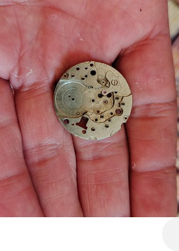 Bej Vintage Erkek Rozeti - Görsel 8