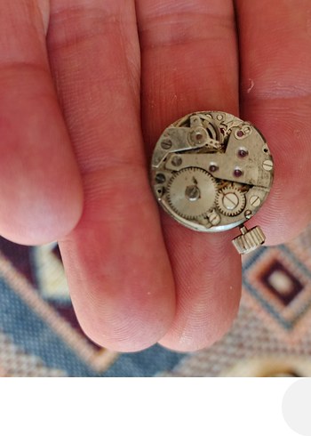 Bej Vintage Erkek Rozeti - Görsel 5