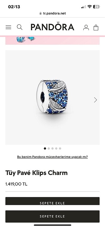  Beden Pandora charm