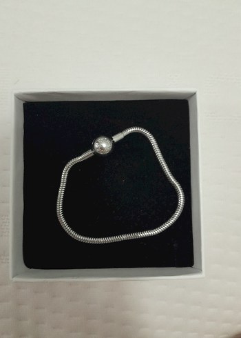 Pandora pandora Bileklik ve charm