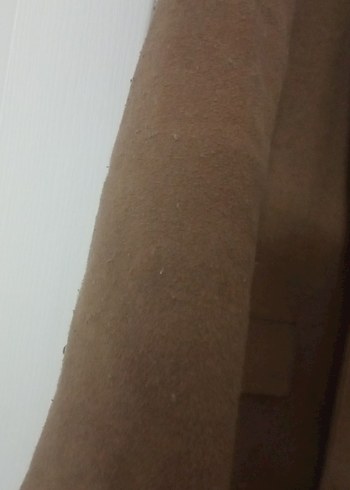 Kahverengi Uzun Kaban - Görsel 3