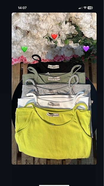 LTB crop