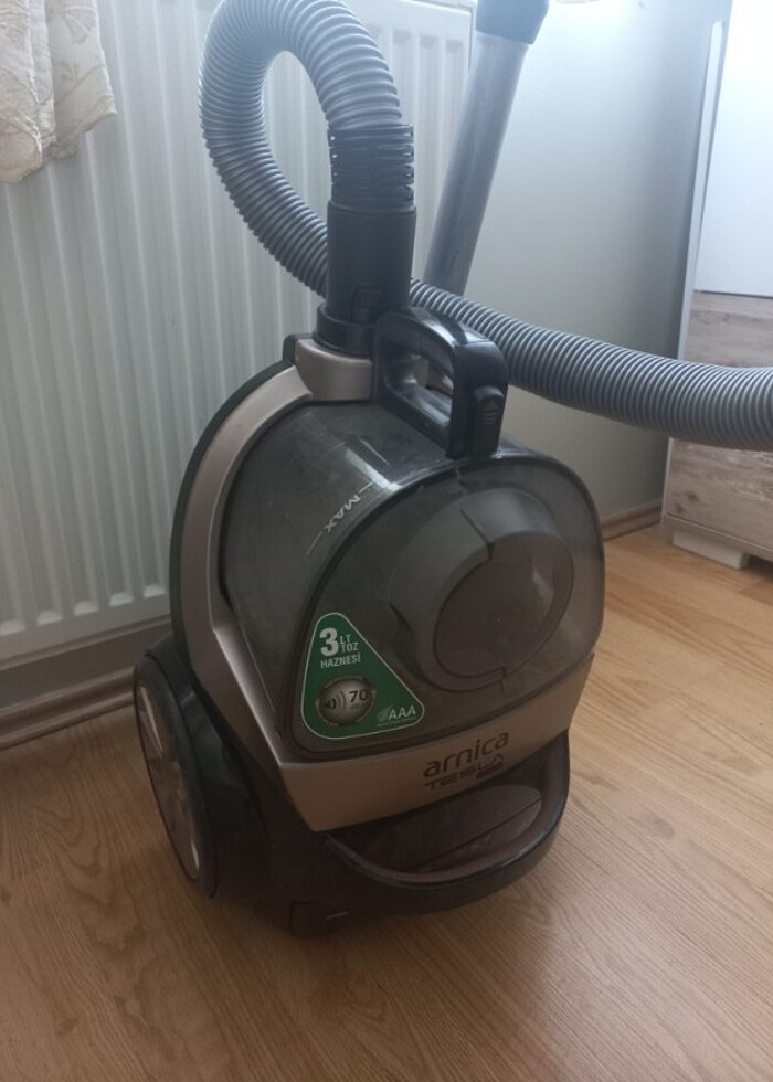 Arnica süpürge  - Görsel 2