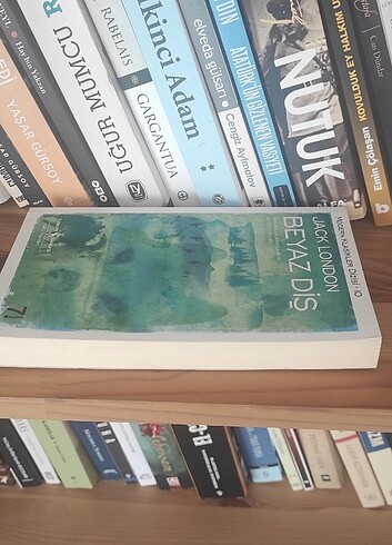  Beden BEYAZ DİŞ JACK LONDON