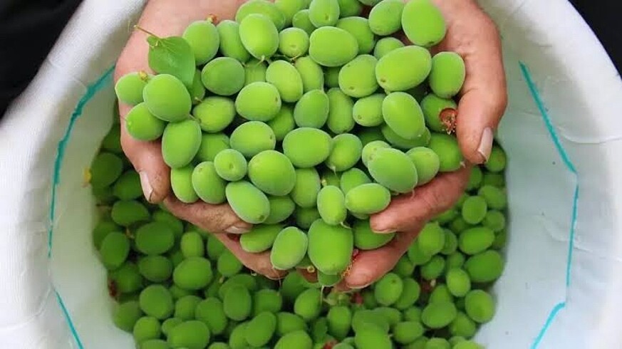 Çağla