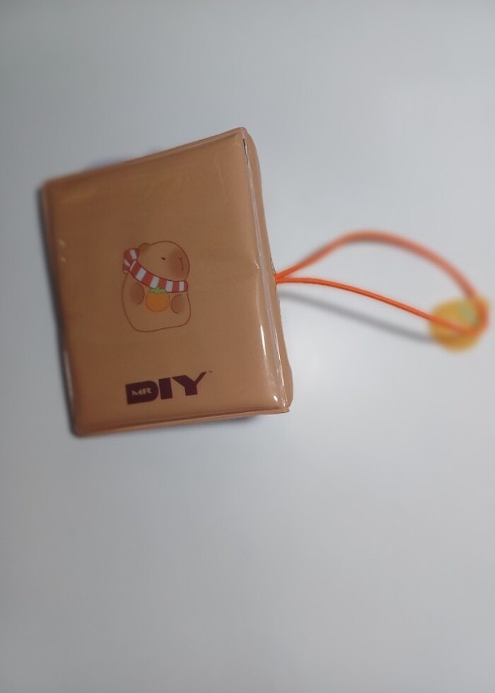 Capybara Binder - Görsel 2