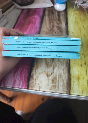 100 Temel Eser
 Seti
Mesnevi, Yunus Emre, Halk ve Divan şiiri - Görsel 3