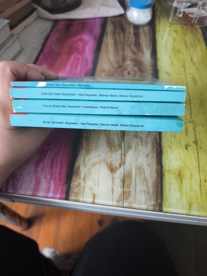 100 Temel Eser
 Seti
Mesnevi, Yunus Emre, Halk ve Divan şiiri - Görsel 3