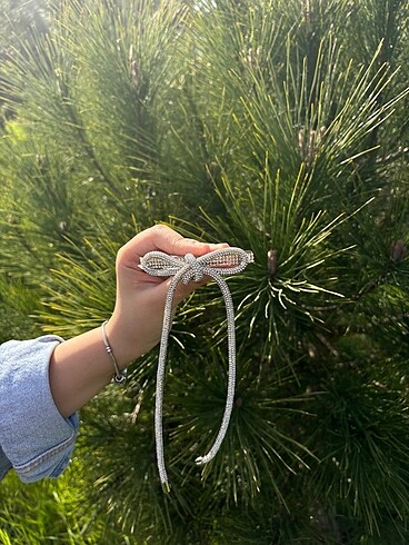 Mini Seyran Toka