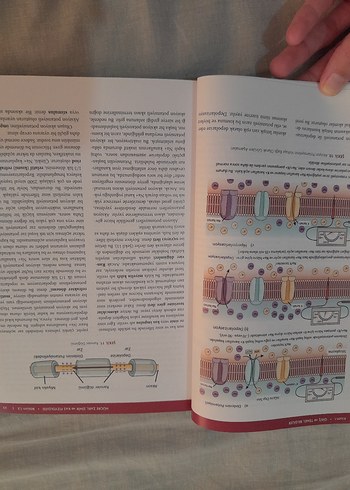  Elektroterapi ve Fiziksel Modaliteler Kitabı