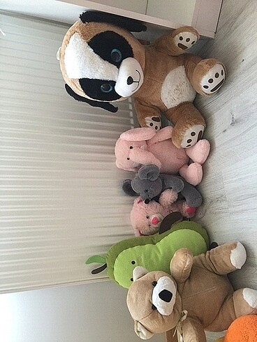 Peluşlar