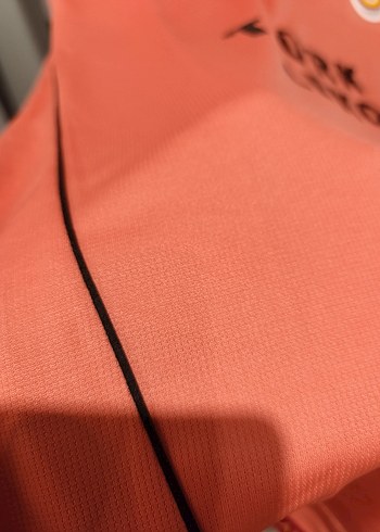 Etiketli Galatasaray Forması - Görsel 4