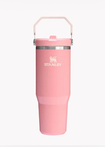 Stanley Pastel Mavi  Termos - Görsel 2