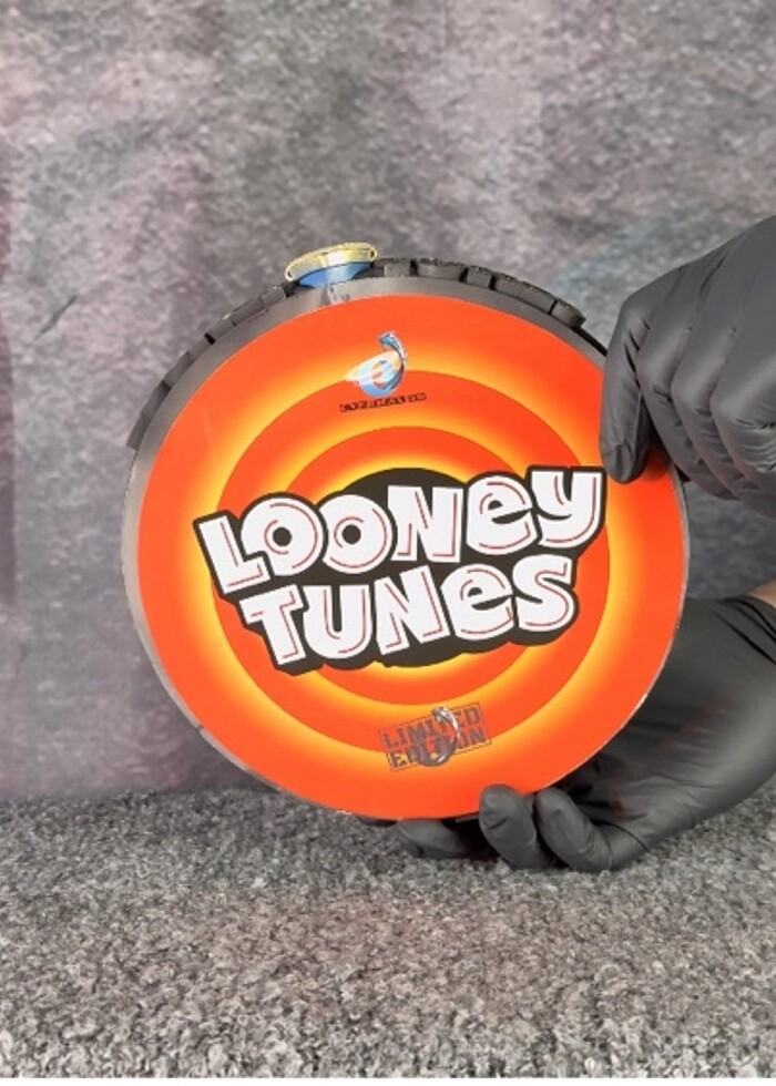 Looney Toones Diaroma - Görsel 3