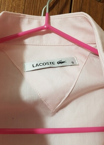 Lacoste Kadın gömlek