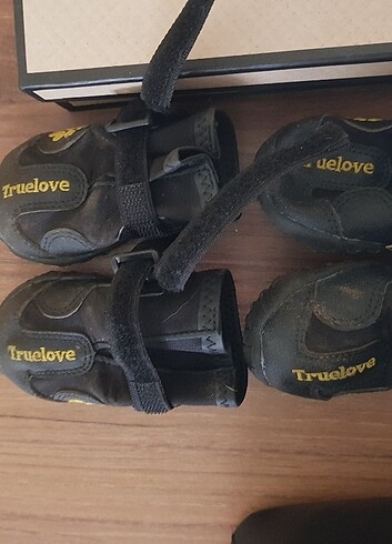 Truelove kopek ayakkabısı 