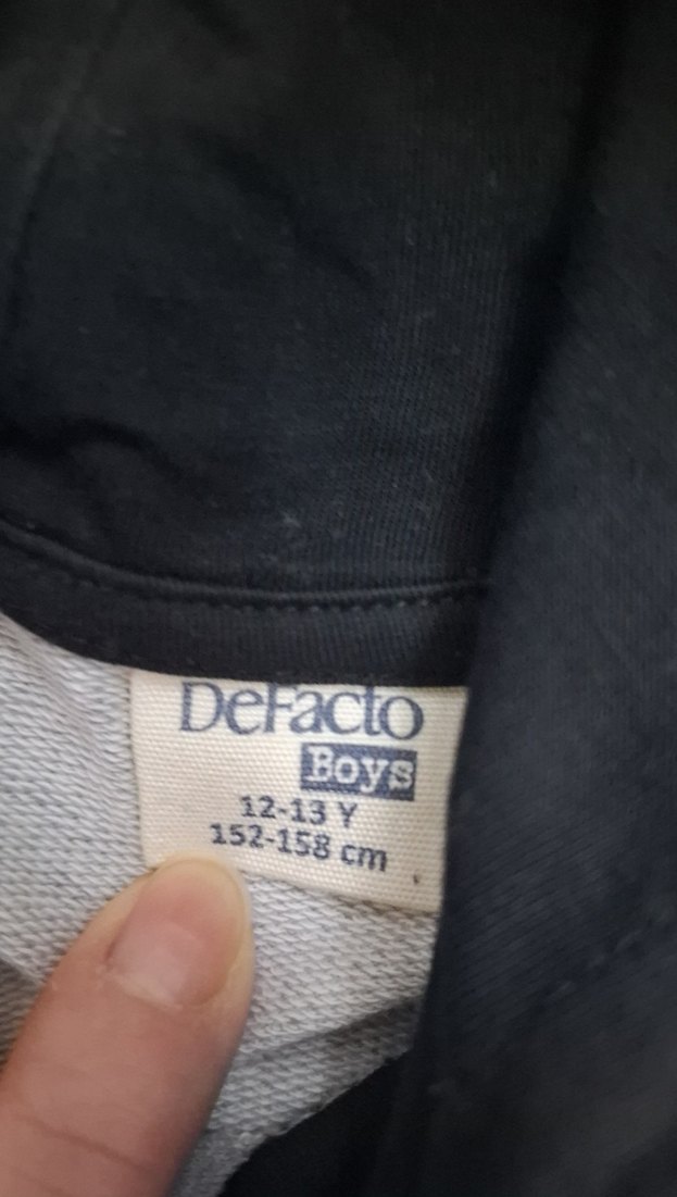 Erkek Çocuk Gri Kapüşonlu Baskılı Sweatshirt - Görsel 2