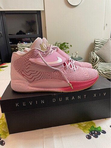 Kd14 Aunt Pearl 46 numara