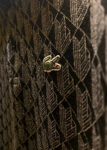 Lacoste Polo Yaka - Görsel 2