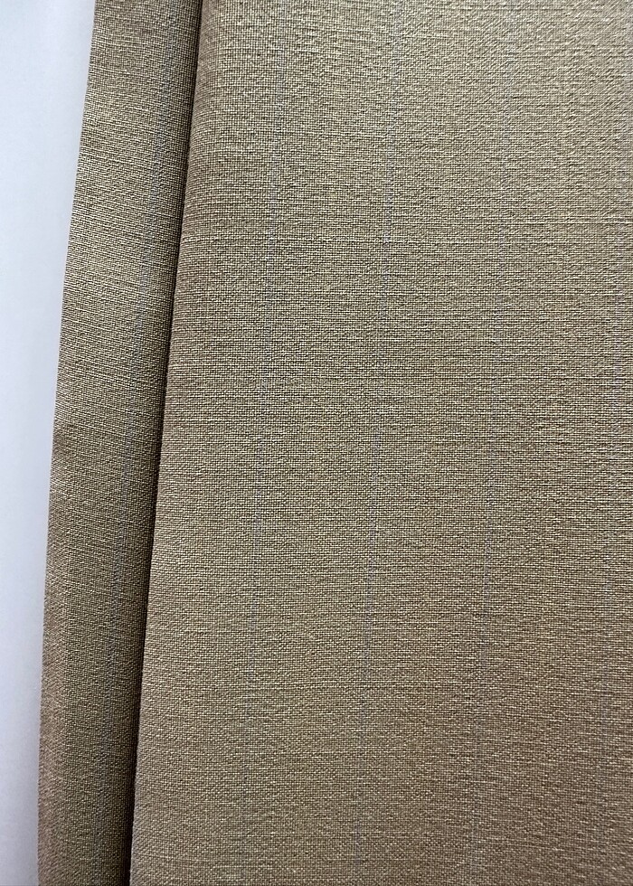 Abdullah Kığılı Bej Takım Elbise - Görsel 4