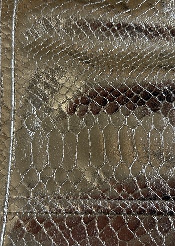 Mango Etek - Görsel 2