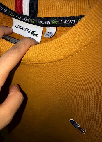m Beden Sarı Sweatshirt, Bisiklet Yaka, Rahat Kesim