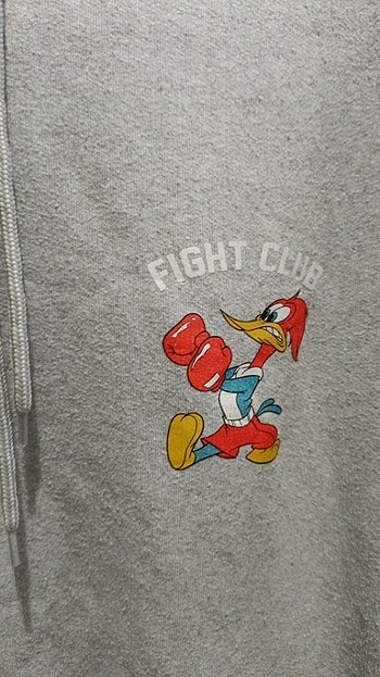 Kapşonlu sivit - Görsel 2