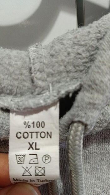 Kapşonlu sivit - Görsel 5