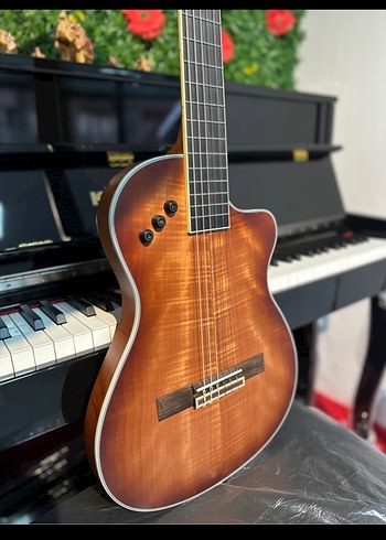 Özel yapım Klasik Elektro Gitar