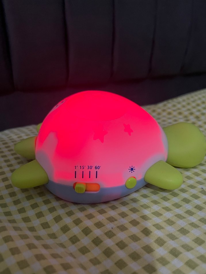 Kaplumbağalı bebek pış pış aleti - Görsel 3