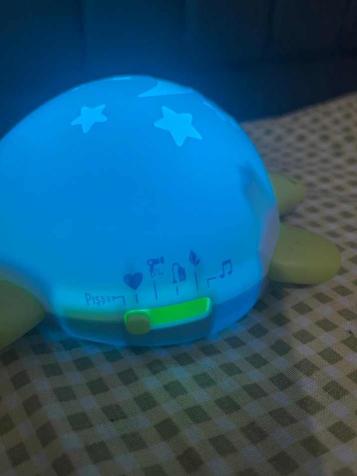 Kaplumbağalı bebek pış pış aleti - Görsel 2
