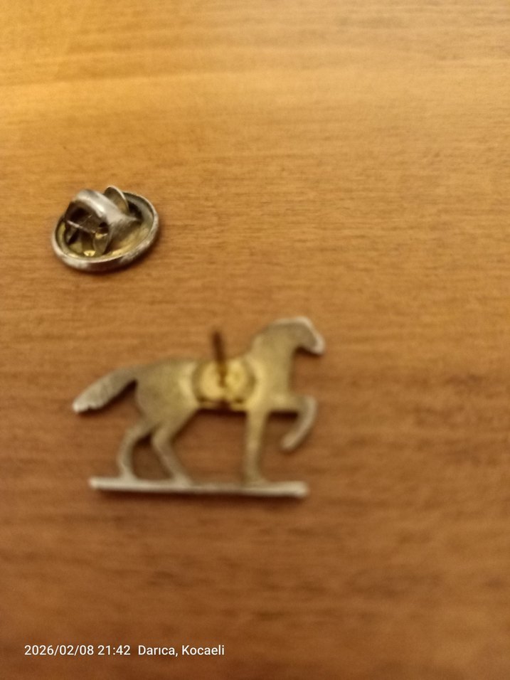 Gri At Figürlü Erkek Rozeti - Görsel 3