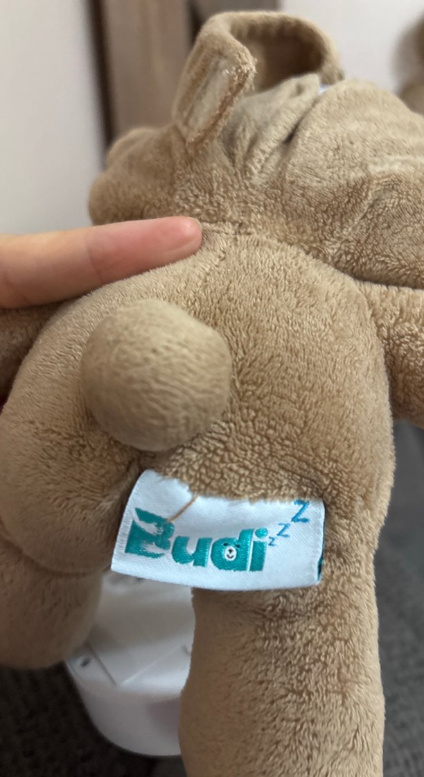 Budizzz uyku arkadaşı - Görsel 4