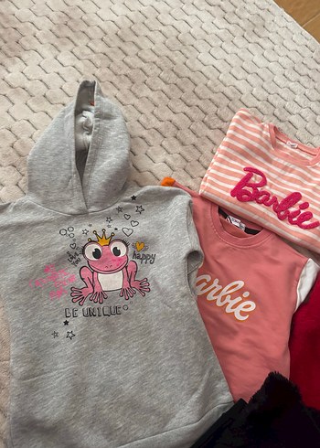 Gri Nakışlı Kürklü Sokak Stili Kedi Kıyafeti - Görsel 2