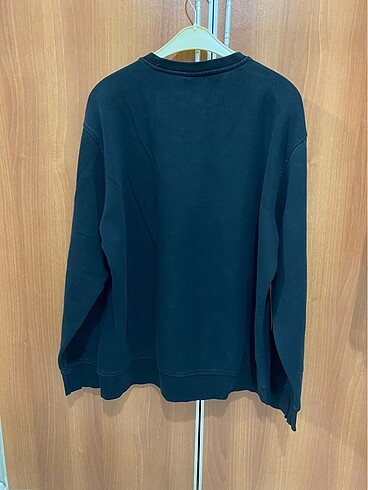 LC Waikiki Erkek sweatshirt