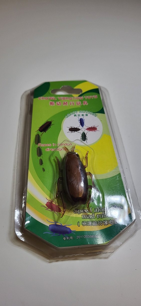 Pilli Hareket Eden Hamam Böceği - Görsel 3