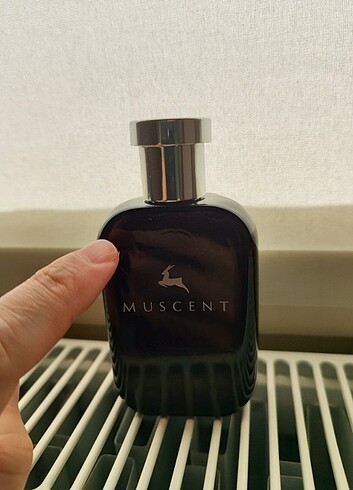 Beden Renk Muscent N137 Layton de Marly muadili