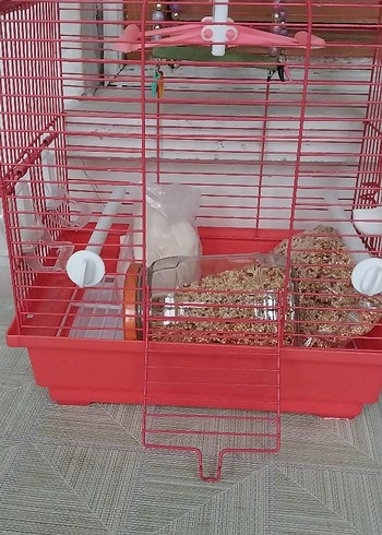 kuş kafesi - Görsel 10