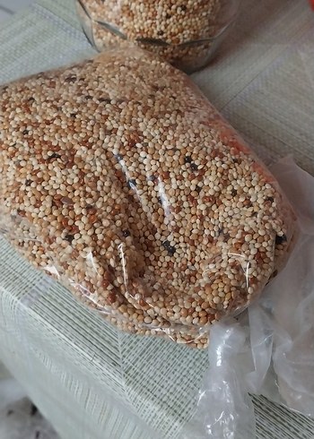 kuş kafesi - Görsel 9