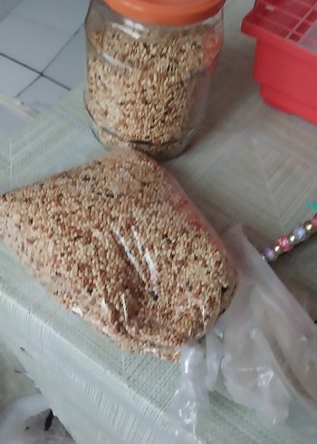 kuş kafesi - Görsel 8